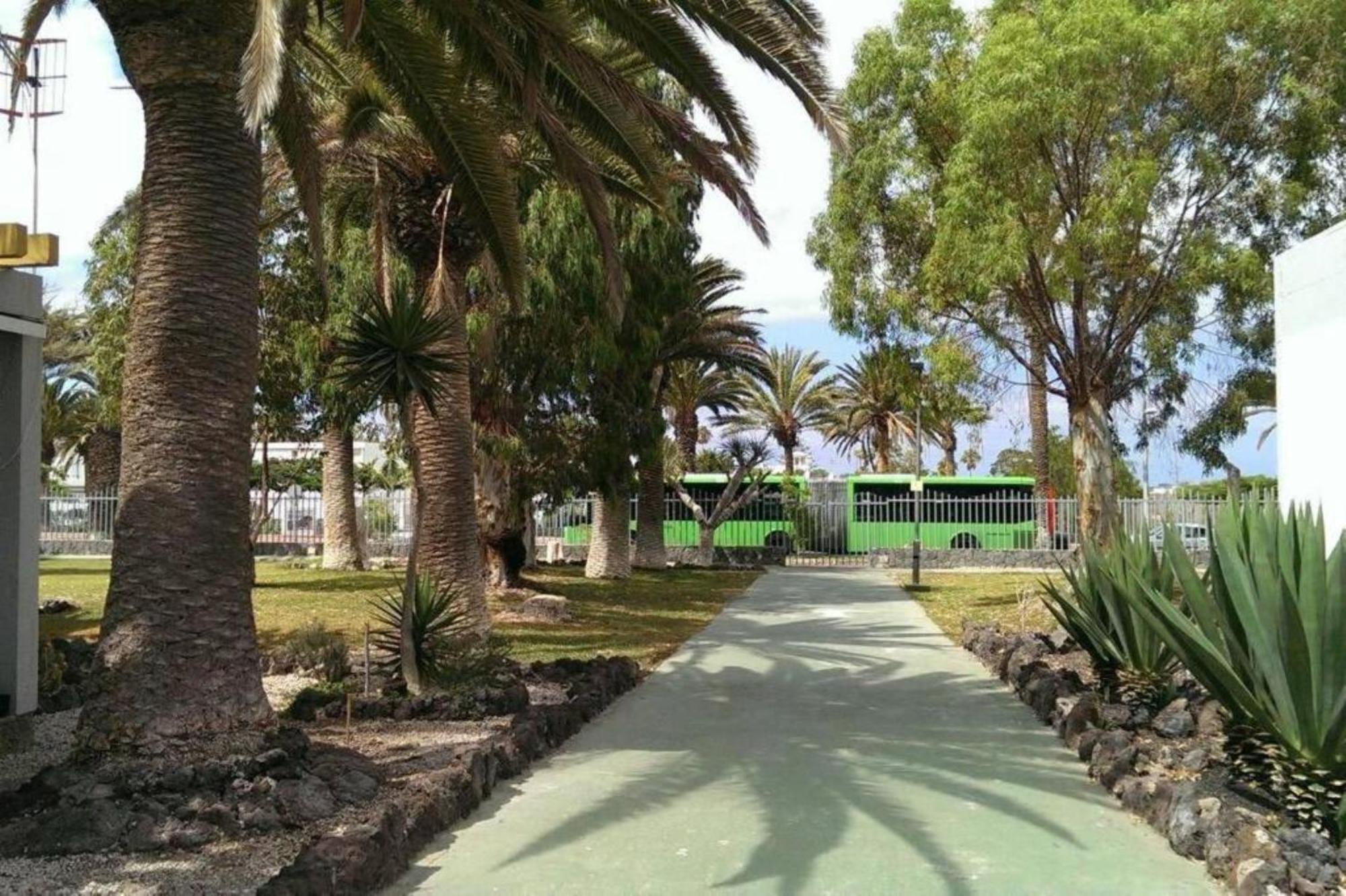 Papagayo Beach Apartments アロナ エクステリア 写真